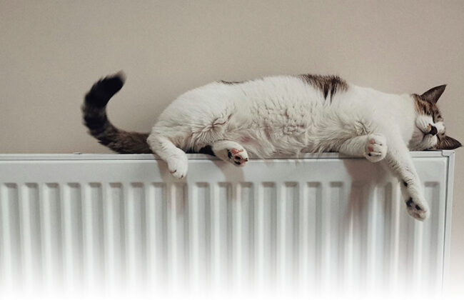 hydraulischer-abgleich-im-mehrfamilienhaus-1