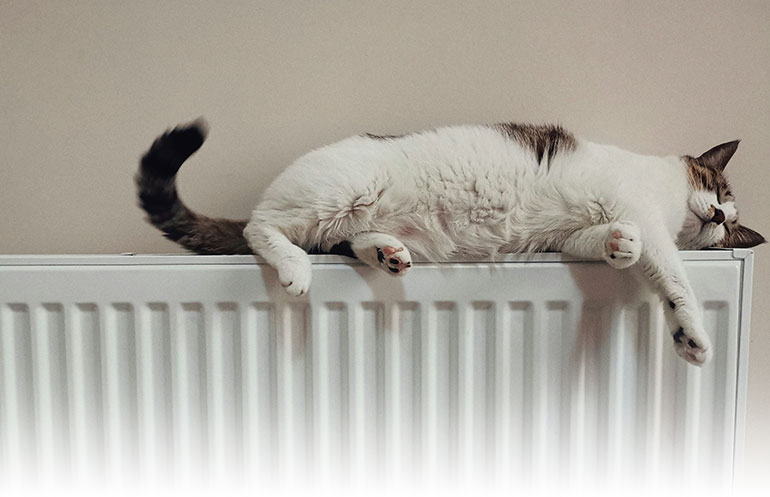 hydraulischer-abgleich-im-mehrfamilienhaus